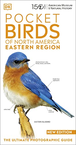 AMNH Pocket Birds of North America Eastern Region (American Museum of Natural History) von DK